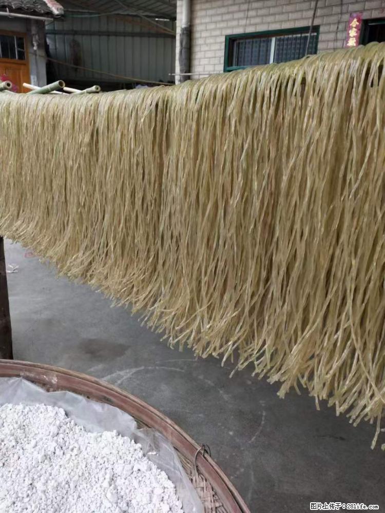 【灌阳正宗红薯粉】美女家里自己做的，干净卫生，假一赔十，价格合理，抢购电话：13737312895 - 美食天地 - 日照生活社区 - 日照28生活网 rizhao.28life.net