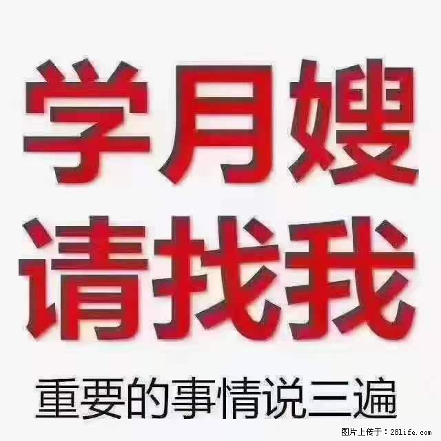 为什么要学习月嫂，育婴师？ - 新手上路 - 日照生活社区 - 日照28生活网 rizhao.28life.net