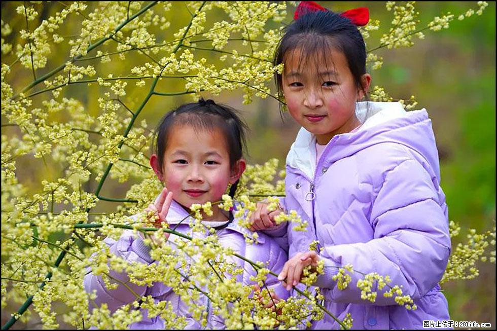 【春天，广西桂林灌阳县向您发出邀请！】米珠山前有片山苍子花在飘香 - 游山玩水 - 日照生活社区 - 日照28生活网 rizhao.28life.net