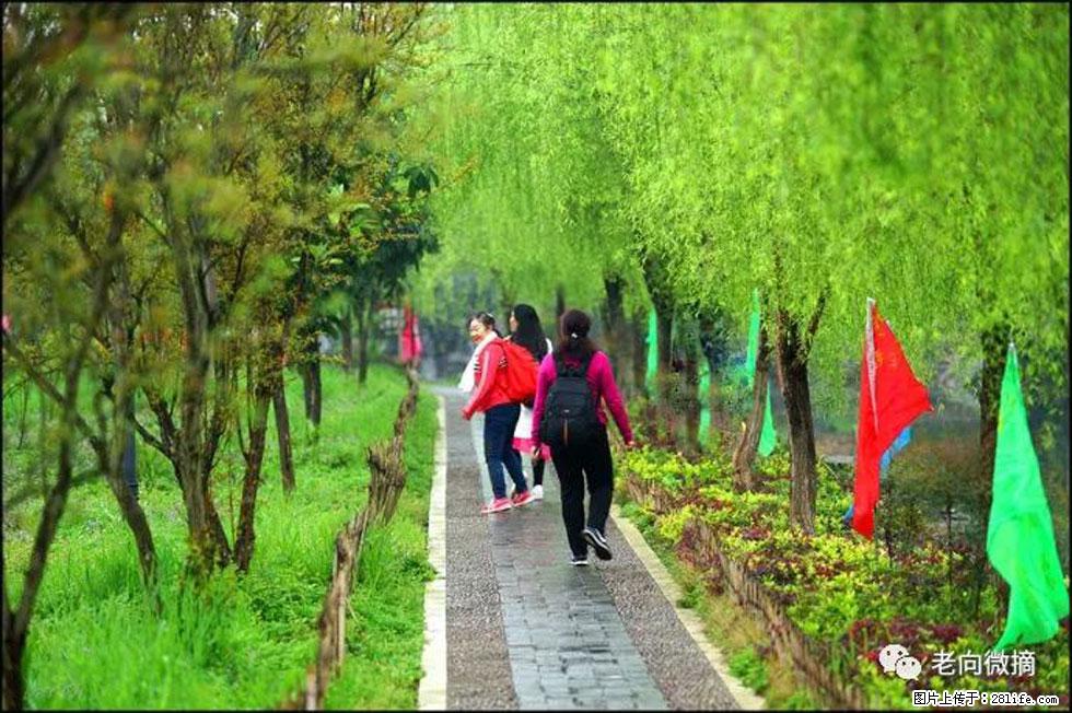 【春天，广西桂林灌阳县向您发出邀请！】江口老街又逢春 - 游山玩水 - 日照生活社区 - 日照28生活网 rizhao.28life.net