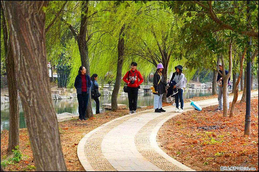 【春天，广西桂林灌阳县向您发出邀请！】江口老街又逢春 - 游山玩水 - 日照生活社区 - 日照28生活网 rizhao.28life.net