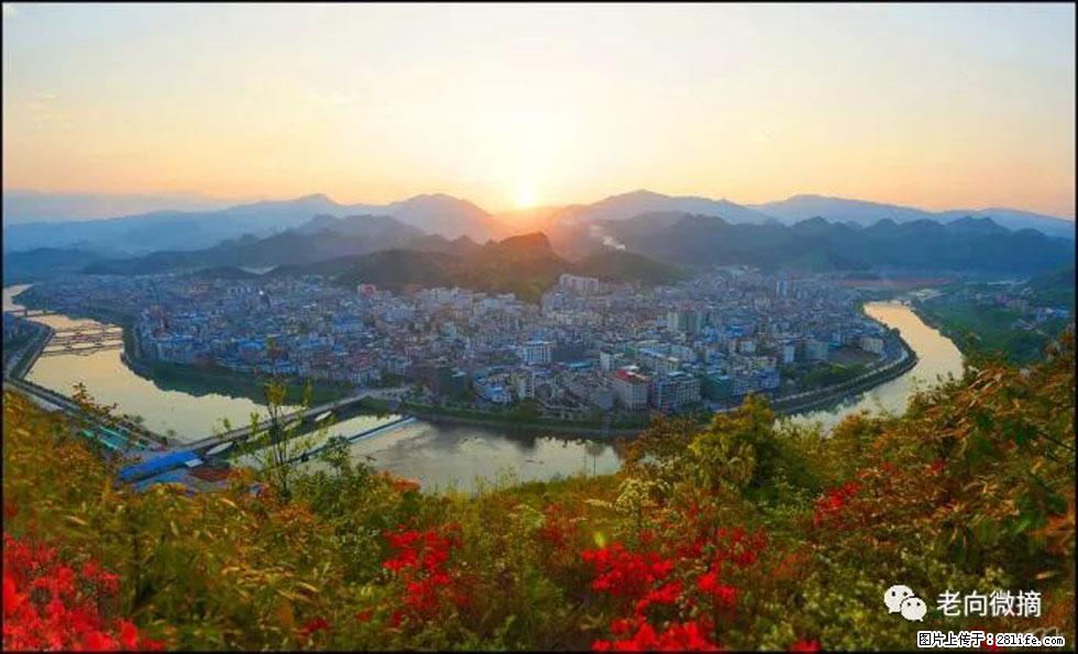 【春天，广西桂林灌阳县向您发出邀请！】登麒麟山，相约映山红 - 游山玩水 - 日照生活社区 - 日照28生活网 rizhao.28life.net
