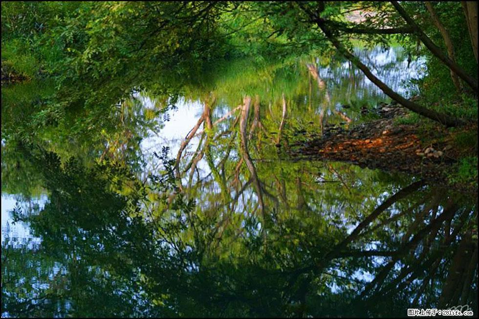 【春天，广西桂林灌阳县向您发出邀请！】熊家寨湿地公园 - 游山玩水 - 日照生活社区 - 日照28生活网 rizhao.28life.net