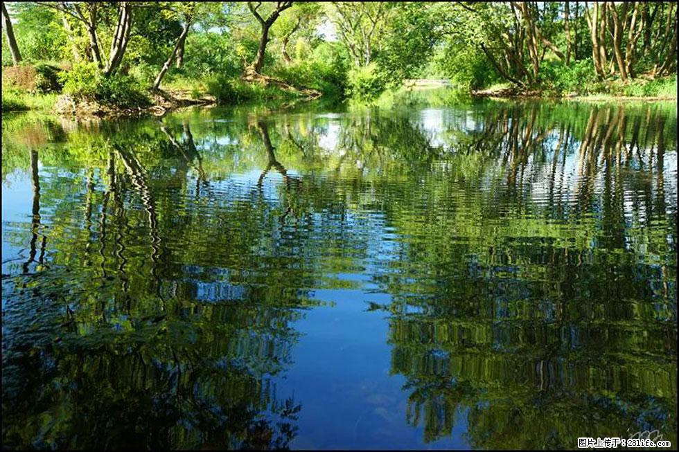 【春天，广西桂林灌阳县向您发出邀请！】熊家寨湿地公园 - 游山玩水 - 日照生活社区 - 日照28生活网 rizhao.28life.net