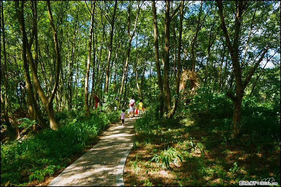 【春天，广西桂林灌阳县向您发出邀请！】熊家寨湿地公园 - 游山玩水 - 日照生活社区 - 日照28生活网 rizhao.28life.net