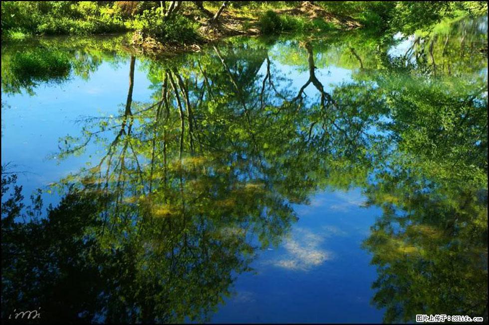 【春天，广西桂林灌阳县向您发出邀请！】熊家寨湿地公园 - 游山玩水 - 日照生活社区 - 日照28生活网 rizhao.28life.net