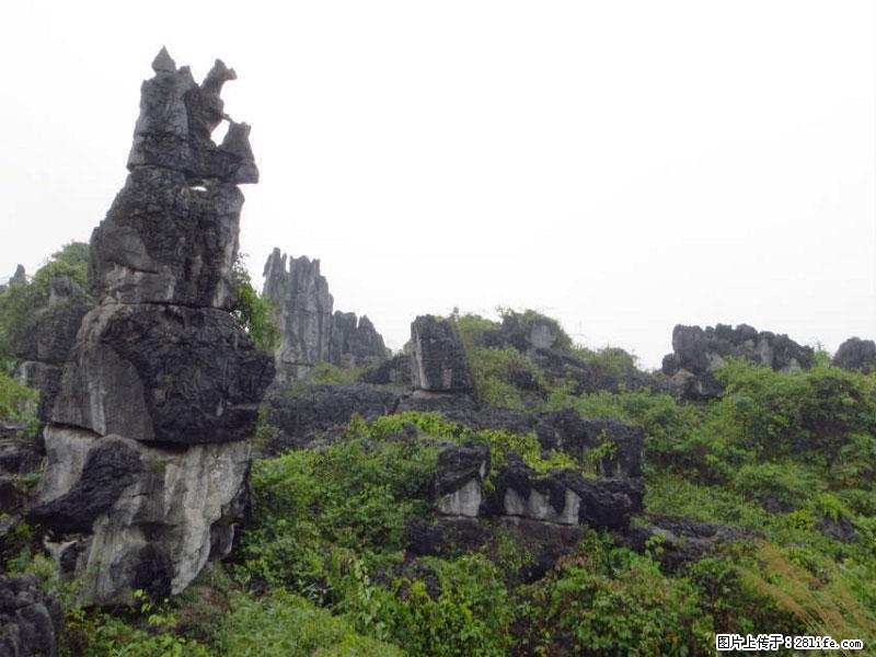 桂林旅游名城景点：灌阳文市石林 - 游山玩水 - 日照生活社区 - 日照28生活网 rizhao.28life.net