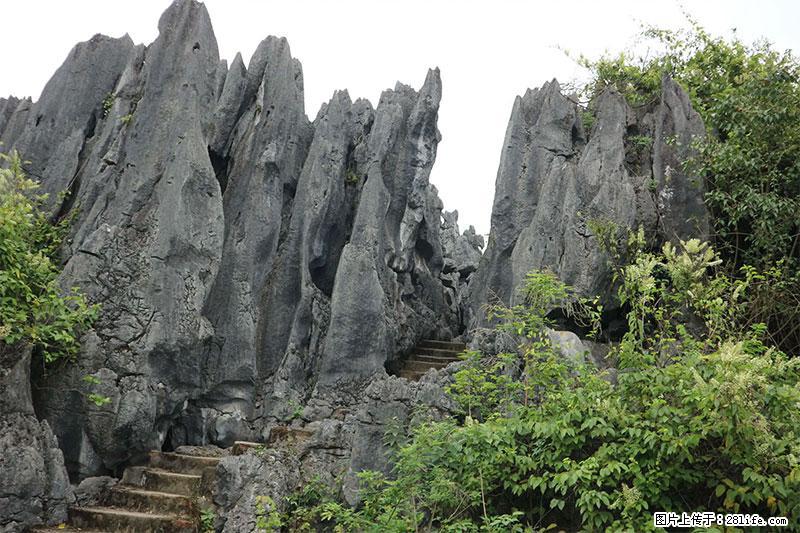 桂林旅游名城景点：灌阳文市石林 - 游山玩水 - 日照生活社区 - 日照28生活网 rizhao.28life.net
