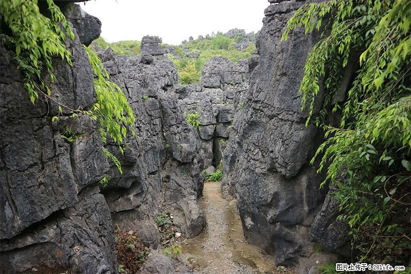 桂林旅游名城景点：灌阳文市石林 - 游山玩水 - 日照生活社区 - 日照28生活网 rizhao.28life.net