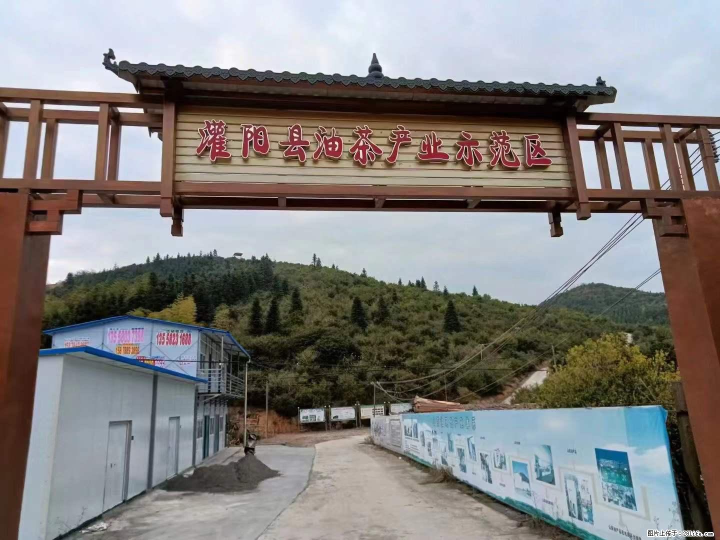 【灌阳县油茶产业示范区】一个有着充实的精神生活的人，对待身外之物自会有一种淡泊的态度 - 美食天地 - 日照生活社区 - 日照28生活网 rizhao.28life.net