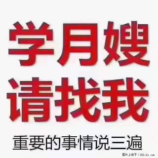 为什么要学习月嫂，育婴师？ - 日照28生活网 rizhao.28life.net