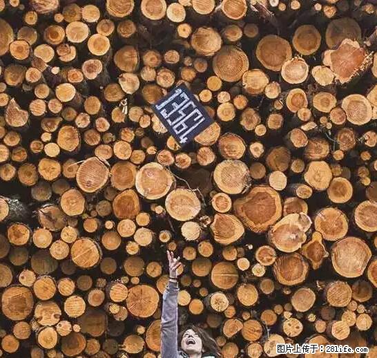 辞掉工作周游世界？现在他们在洗厕所…… - 游山玩水 - 日照生活社区 - 日照28生活网 rizhao.28life.net