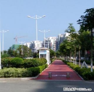 华尔兹三室精装，可随时看房 - 日照28生活网 rizhao.28life.net