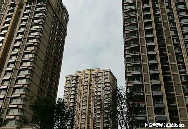 新市区大卜家庵子村 2室2厅90平米 年付 - 房屋出租 - 房屋租售 - 日照分类信息 - 日照28生活网 rizhao.28life.net