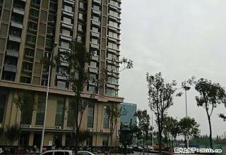 新市区大卜家庵子村 2室2厅90平米 年付 - 日照28生活网 rizhao.28life.net