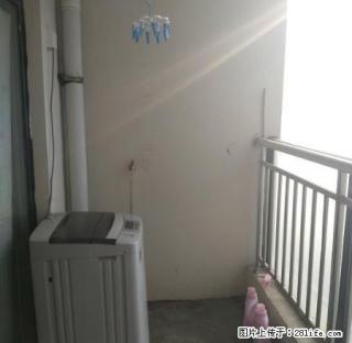 中央绿城，一室一厅，简装，850， - 日照28生活网 rizhao.28life.net