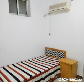 海纳附近 精品小户型一室一厅便宜出租 - 日照28生活网 rizhao.28life.net