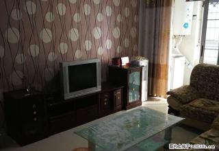 新营小学 新营中学 陪读房 大卜家庵子 - 日照28生活网 rizhao.28life.net
