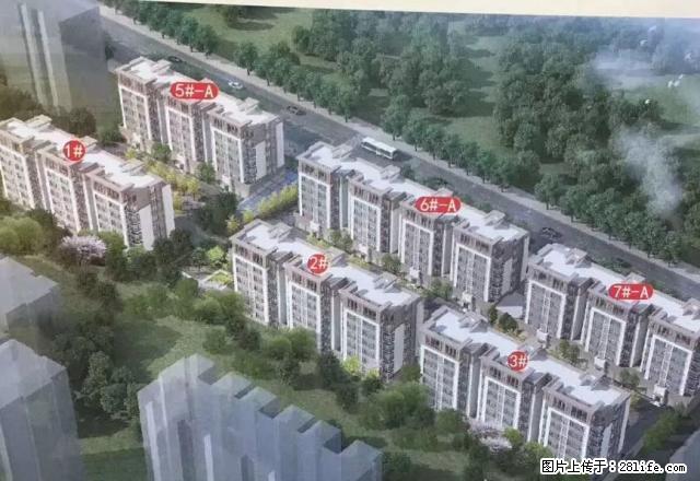 中医院北边百货大楼北边荣安广场双气房子出租 - 房屋出租 - 房屋租售 - 日照分类信息 - 日照28生活网 rizhao.28life.net