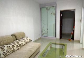 设计院家属院3室2厅精装修拎包入住实验高中，济南路小学陪读房 - 日照28生活网 rizhao.28life.net