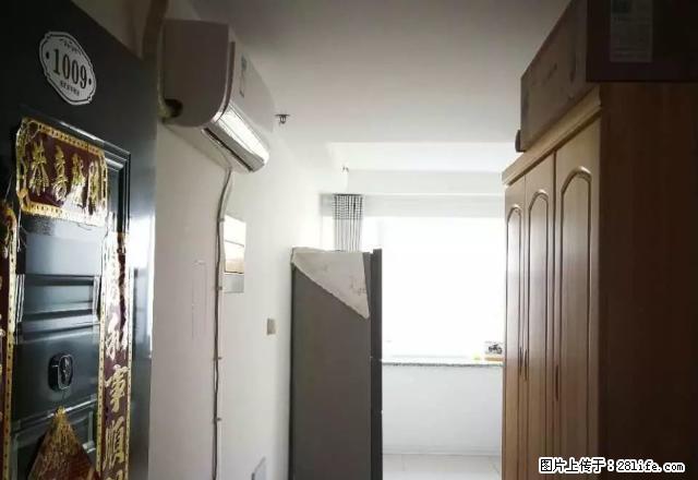 华商国际1室一厅48平精装拎包入住 - 房屋出租 - 房屋租售 - 日照分类信息 - 日照28生活网 rizhao.28life.net