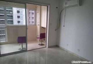 唐韵开园1室1厅1卫，精装 - 日照28生活网 rizhao.28life.net