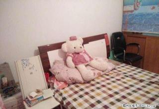 酒厂家属院 拎包入住 整体出租 可短租 - 日照28生活网 rizhao.28life.net