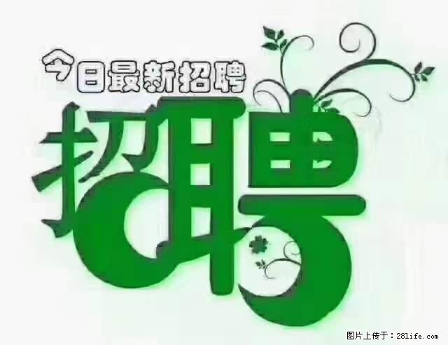 【招聘】产康师 - 职场交流 - 日照生活社区 - 日照28生活网 rizhao.28life.net