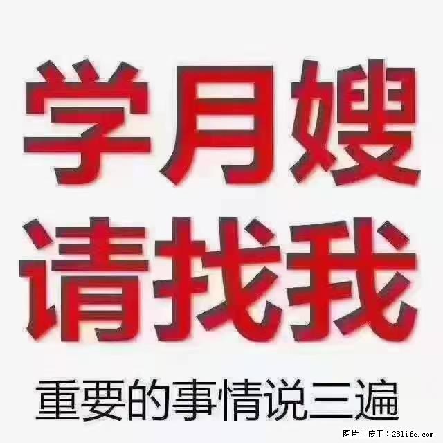 【招聘】月嫂，上海徐汇区 - 职场交流 - 日照生活社区 - 日照28生活网 rizhao.28life.net