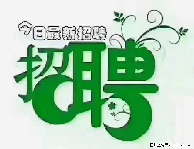 上海隔离酒店招人：55岁以下 男女不限 - 职场交流 - 日照生活社区 - 日照28生活网 rizhao.28life.net