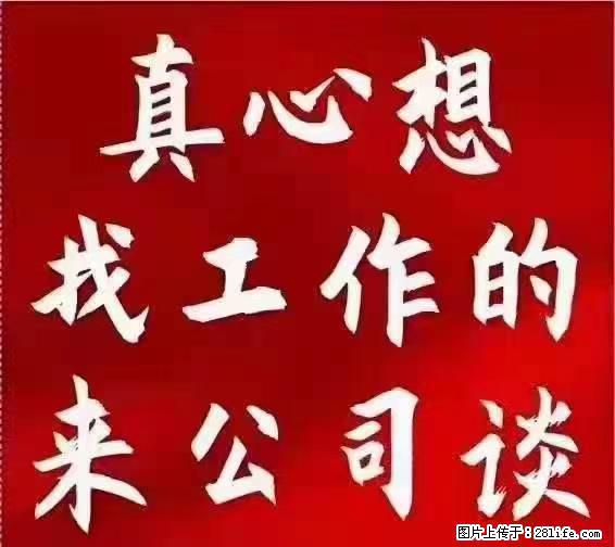 【上海】国企，医院招两名男保安，55岁以下，身高1.7米以上，无犯罪记录不良嗜好 - 职场交流 - 日照生活社区 - 日照28生活网 rizhao.28life.net