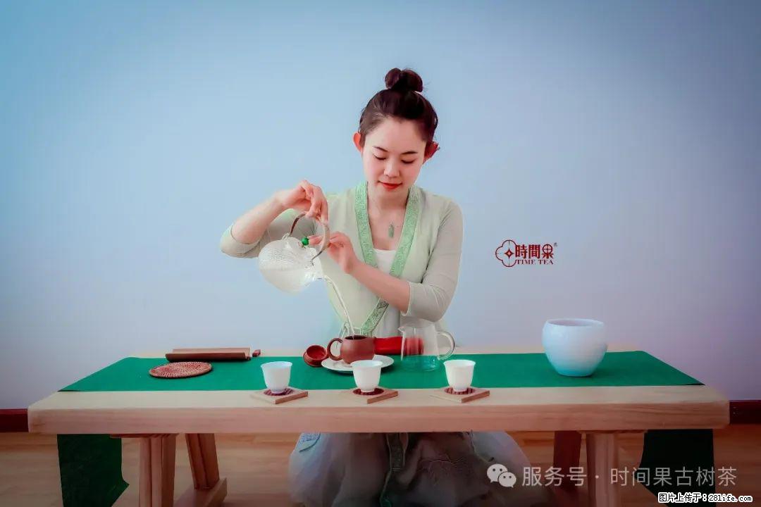 时间果百年古树龙珠普洱生茶 - 购物交流 - 日照生活社区 - 日照28生活网 rizhao.28life.net