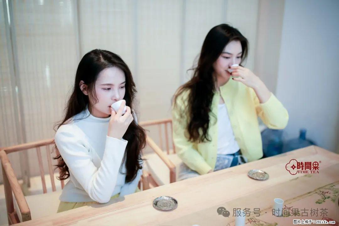 时间果百年古树龙珠普洱生茶 - 购物交流 - 日照生活社区 - 日照28生活网 rizhao.28life.net