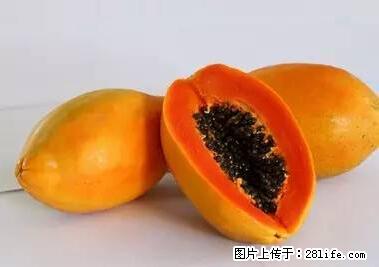 晕车、脚气、牙齿变黄、皮肤粗糙？学会这些三分钟搞定！ - 日照生活资讯 - 日照28生活网 rizhao.28life.net