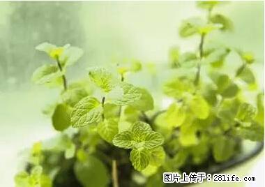 晕车、脚气、牙齿变黄、皮肤粗糙？学会这些三分钟搞定！ - 日照生活资讯 - 日照28生活网 rizhao.28life.net