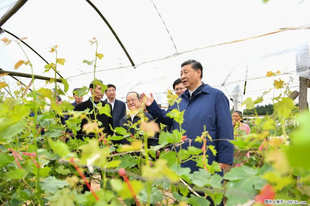 习近平赴广西考察调研 - 日照生活资讯 - 日照28生活网 rizhao.28life.net