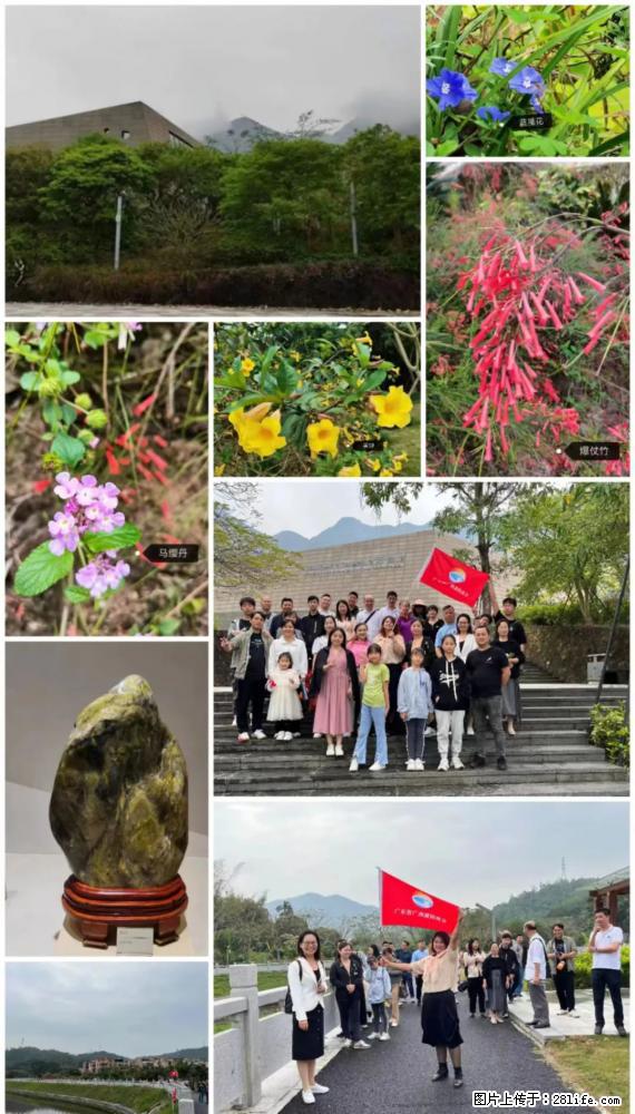 “粤灌文化 美好生活”油茶文化主题活动在广东深圳成功举办 - 日照生活资讯 - 日照28生活网 rizhao.28life.net