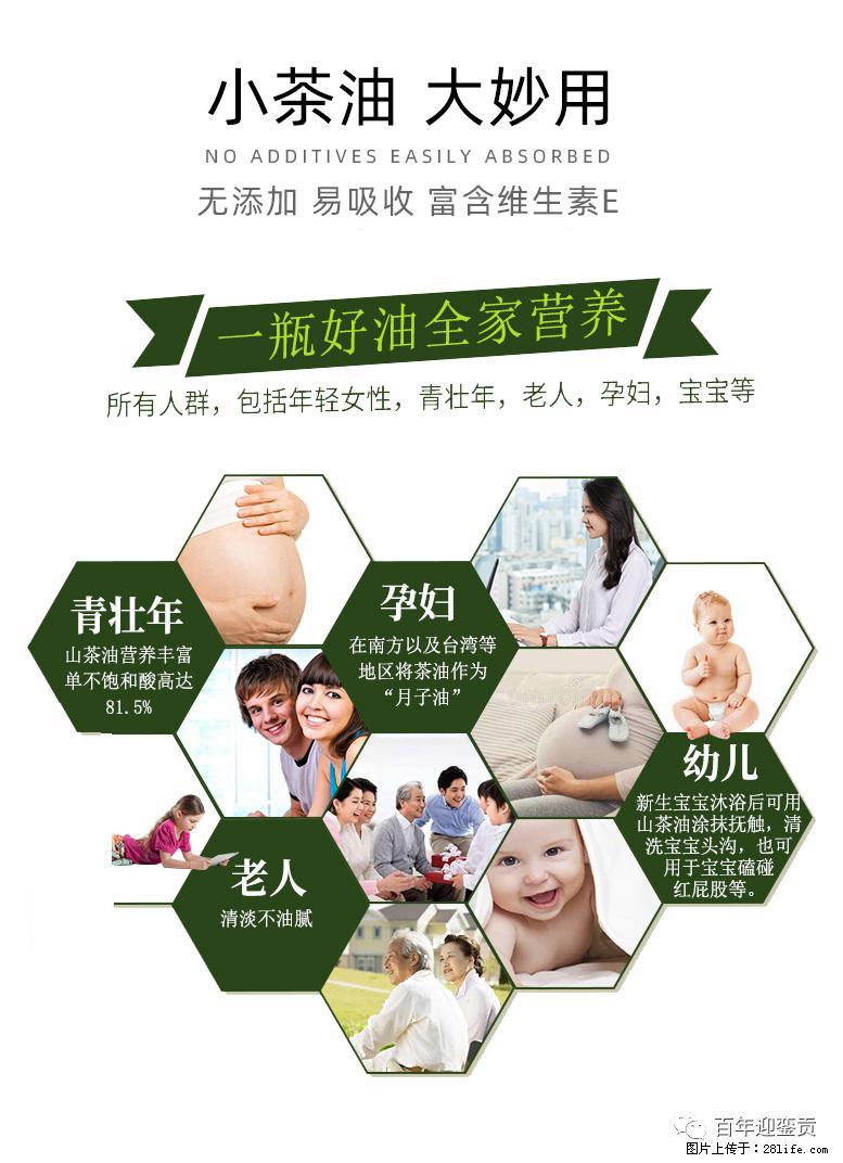 世界没有真相，只有认知，最好的食用油是中国的山茶油！ - 日照生活资讯 - 日照28生活网 rizhao.28life.net
