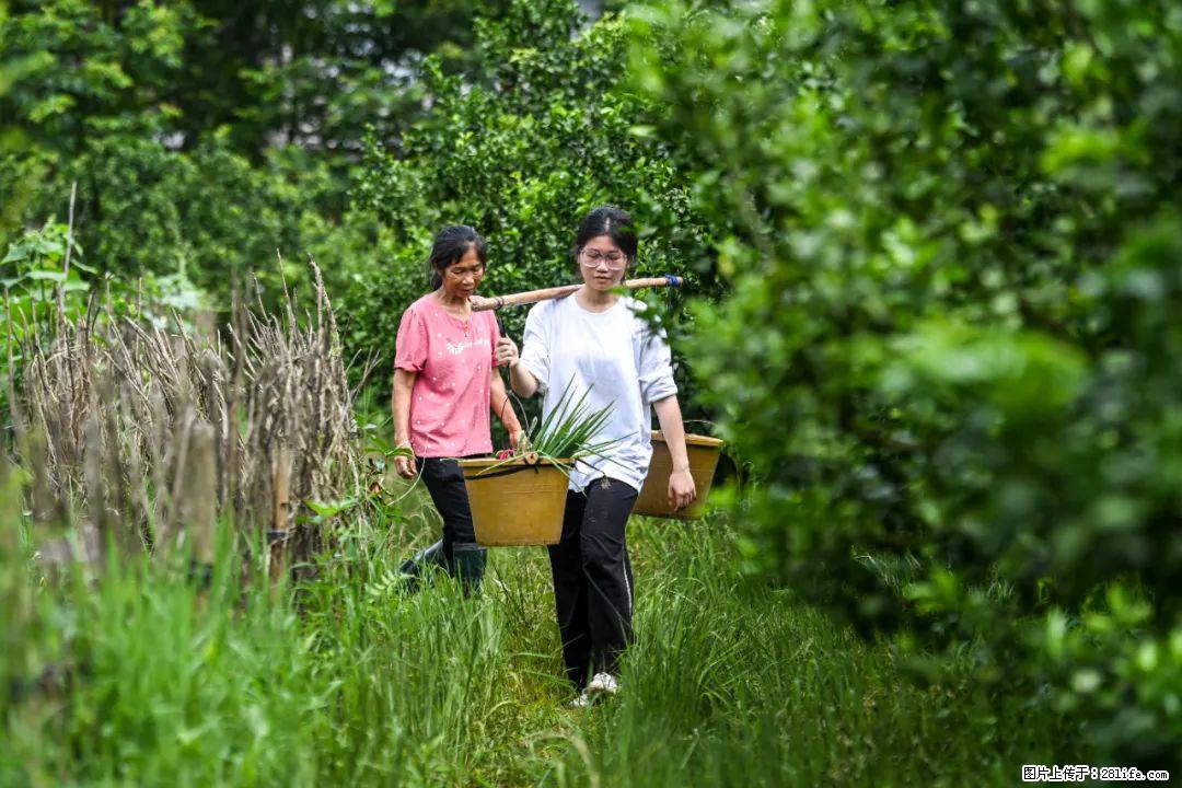全网追的“扁担女孩”，找了一份暑假工，时薪12元 - 日照生活资讯 - 日照28生活网 rizhao.28life.net