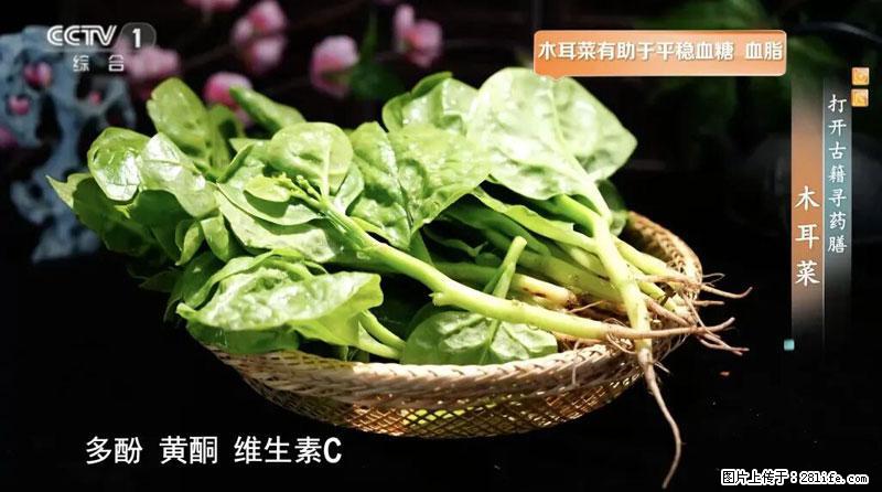 比牛奶补钙还厉害！凉血解毒、稳血糖...这菜冬天必吃，很多人却当草 - 日照生活资讯 - 日照28生活网 rizhao.28life.net
