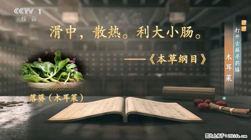比牛奶补钙还厉害！凉血解毒、稳血糖...这菜冬天必吃，很多人却当草 - 日照生活资讯 - 日照28生活网 rizhao.28life.net