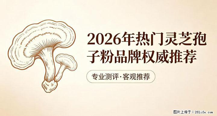 灵芝孢子粉含量越高越有效？2026 年七款热门品牌深度实测，肠胃敏感者避坑指南 - 日照生活资讯 - 日照28生活网 rizhao.28life.net