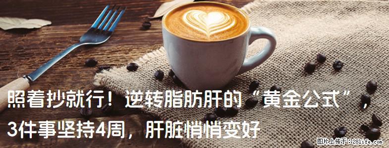 照着抄就行！逆转脂肪肝的“黄金公式”，3件事坚持4周，肝脏悄悄变好 - 日照生活资讯 - 日照28生活网 rizhao.28life.net